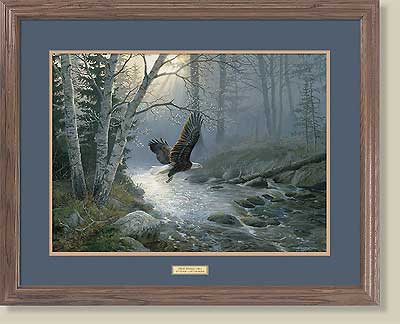 Spring Run-Bald Eagle by Persis Clayton Weirs